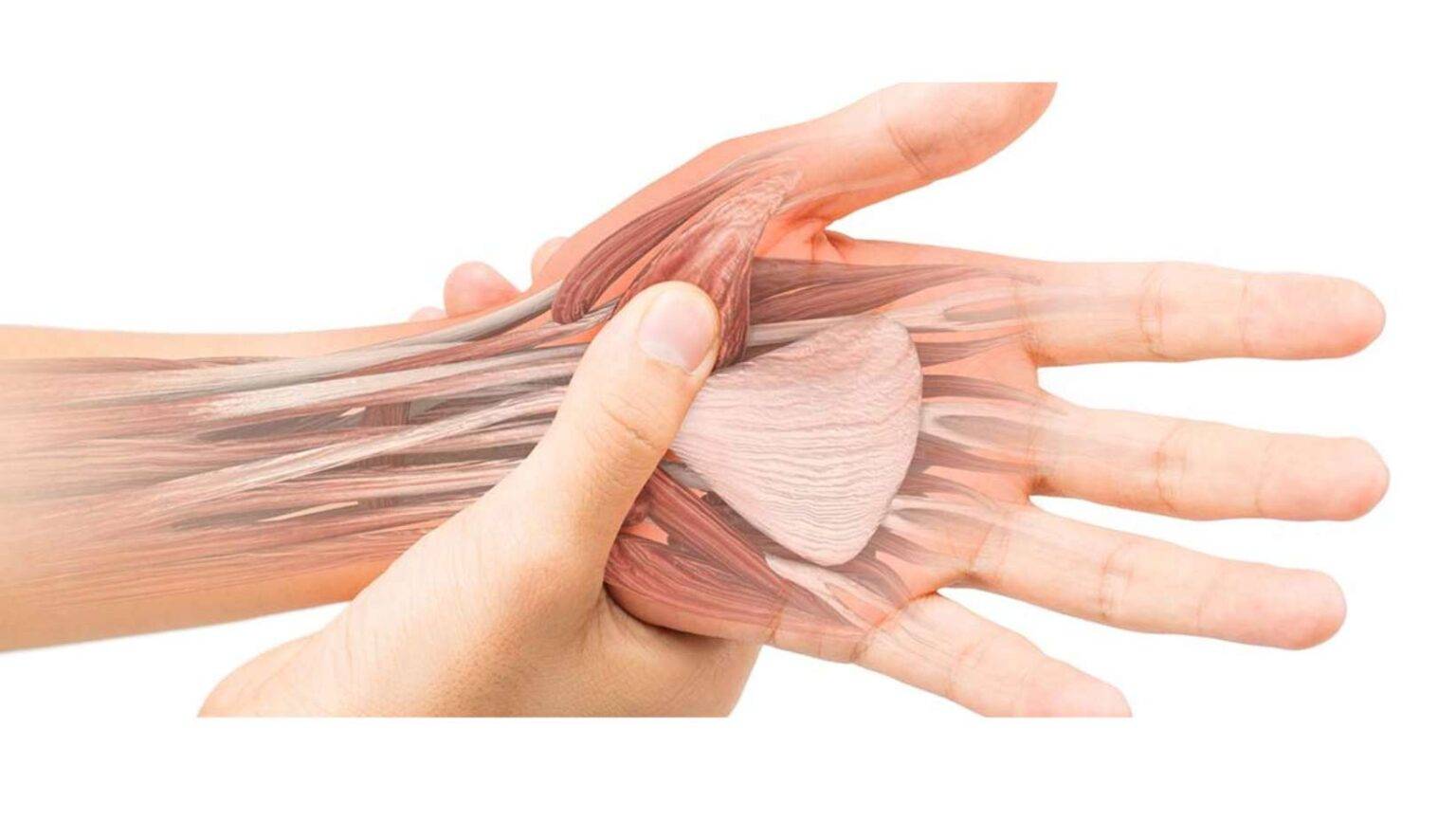 Ergonomía postural del terapeuta